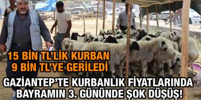 Gaziantep’te Kurbanlık Fiyatlarında Bayramın 3. Gününde Şok Düşüş! 15 Bin TL’lik Kurban 9 Bin TL’ye Geriledi