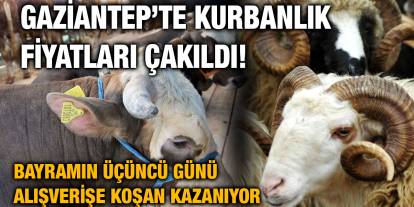 Gaziantep’te Kurbanlık Fiyatları Çakıldı! Bayramın Üçüncü Günü Alışverişe Koşan Gaziantep’te Küçükbaş Kurbanlıklar 10 Bin TL’ye