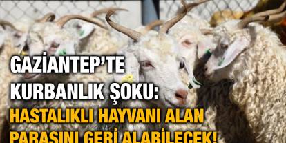 Gaziantep’te Kurbanlık Şoku: Hastalıklı Hayvanı Alan Parasını Geri Alabilecek!