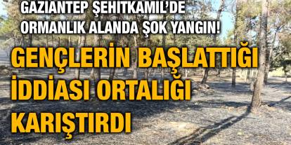 Gaziantep Şehitkamil’de Ormanlık Alanda Şok Yangın! Gençlerin Başlattığı İddiası Ortalığı Karıştırdı