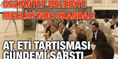 Gaziantep Belediye Meclisi’nde Skandal! At Eti Tartışması Gündemi Sarstı