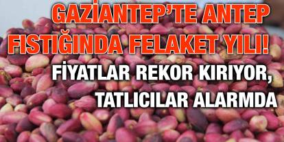 Gaziantep’te Antep Fıstığında Felaket Yılı! Fiyatlar Rekor Kırıyor, Tatlıcılar Alarmda