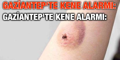 Gaziantep'te Kene Alarmı: KKKA Tehdidi Büyüyor, Bahar Sessiz Tehlikeyi Getirdi!