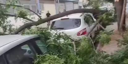 Gaziantep’te şiddetli fırtına yıktı geçti! Ağaçlar devrildi, araçlar zarar gördü