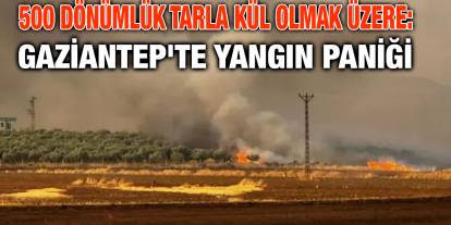 500 Dönümlük Tarla Kül Olmak Üzere: Gaziantep'te Yangın Paniği