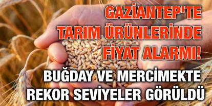 Gaziantep'te Tarım Ürünlerinde Fiyat Alarmı! Buğday ve Mercimekte Rekor Seviyeler Görüldü