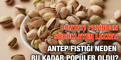 Dünyayı Peşinden Sürükleyen Lezzet: Antep Fıstığı Neden Bu Kadar Popüler Oldu?