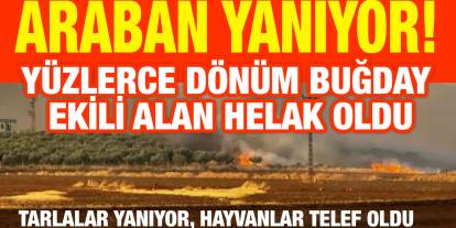 "Araban Yanıyor!" Buğday Tarlaları Alev Alev