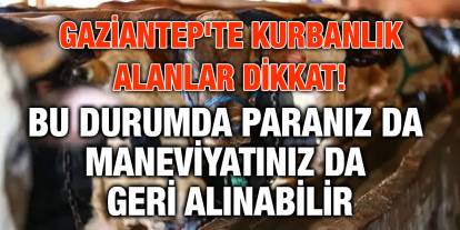 Gaziantep'te Kurbanlık Alanlar Dikkat! Bu Durumda Paranız da Maneviyatınız da Geri Alınabilir