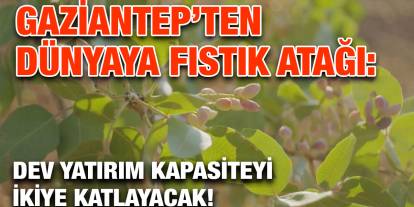 Gaziantep’ten Dünyaya Fıstık Atağı: Dev Yatırım Kapasiteyi İkiye Katlayacak!