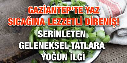 Gaziantep'te Yaz Sıcağına Lezzetli Direniş! Serinleten Geleneksel Tatlara Yoğun İlgi