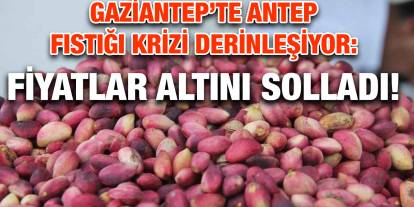 Gaziantep’te Antep Fıstığı Krizi Derinleşiyor: Fiyatlar Altını Solladı!