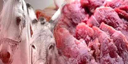 Gaziantep’te At ve Eşek Eti Tartışması Büyüyor: Gastronomi Başkentinde İtibar Krizi!