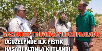 Gaziantep’te Barak Yıldızı Parladı: Oğuzeli’nde İlk Fıstık Hasadı Altınla Kutlandı