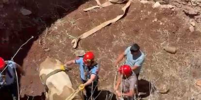 Gaziantep’te çukura düşen görme engelli dana kurtarıldı