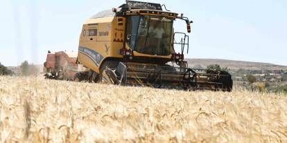 Gaziantep'te arpalarda hasat sevinci