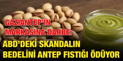 Gaziantep’in Markasına Darbe: ABD’deki Skandalın Bedelini Antep Fıstığı Ödüyor