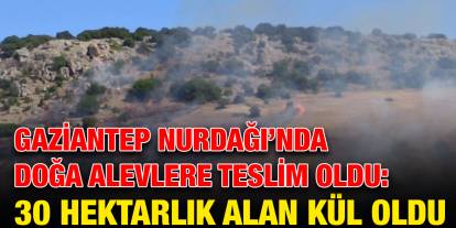 Gaziantep Nurdağı’nda Doğa Alevlere Teslim Oldu: 30 Hektarlık Alan Kül Oldu