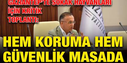 Gaziantep’te Sokak Hayvanları İçin Kritik Toplantı: Hem Koruma Hem Güvenlik Masada