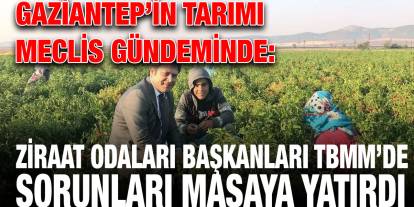 Gaziantep’in Tarımı Meclis Gündeminde: Ziraat Odaları Başkanları TBMM’de Sorunları Masaya Yatırdı