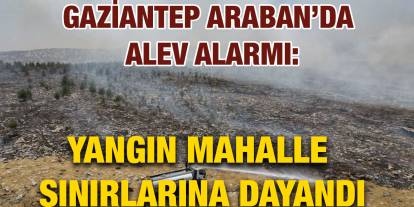 Gaziantep Araban’da Alev Alarmı: Yangın Mahalle Sınırlarına Dayandı