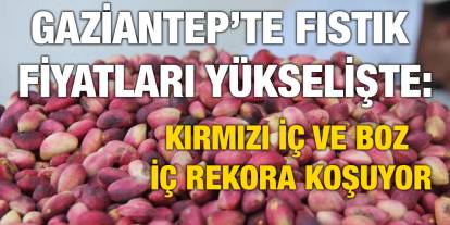 Gaziantep’te Fıstık Fiyatları Yükselişte: Kırmızı İç ve Boz İç Rekora Koşuyor