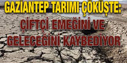 Gaziantep Tarımı Çöküşte: Çiftçi Emeğini ve Geleceğini Kaybediyor