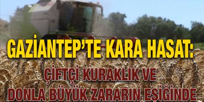 Gaziantep’te Kara Hasat: Çiftçi Kuraklık ve Donla Büyük Zararın Eşiğinde