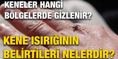 Keneler Hangi Bölgelerde Gizlenir? Kene Isırığının Belirtileri Nelerdir?