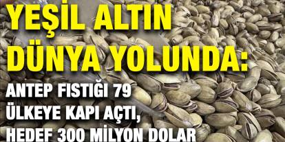 Yeşil Altın Dünya Yolunda: Antep Fıstığı 79 Ülkeye Kapı Açtı, Hedef 300 Milyon Dolar