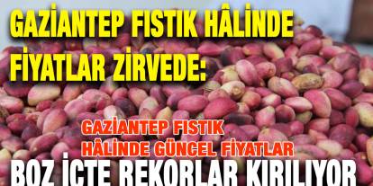 Gaziantep Fıstık Hâlinde Fiyatlar Zirvede: Boz İçte Rekorlar Kırılıyor