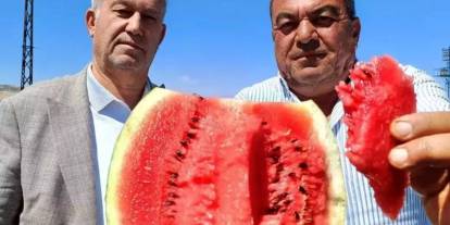 Gaziantepli Karpuz Üreticileri Kan Ağlıyor! Tarlada 1 Lira, Markette 6 Lira!