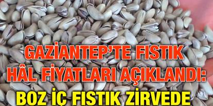 Gaziantep’te Fıstık Hâl Fiyatları Açıklandı: Boz İç Fıstık Zirvede