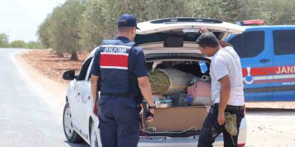 Gaziantep'te fıstık hırsızlığına jandarmadan sıkı denetim