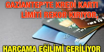 Gaziantep’te Kredi Kartı Limiti Rekor Kırıyor, Harcama Eğilimi Geriliyor