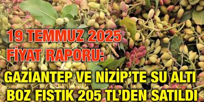 19 Temmuz 2025 Fiyat Raporu: Gaziantep ve Nizip’te Su Altı Boz Fıstık 205 TL’den Satıldı