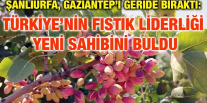 Şanlıurfa, Gaziantep’i Geride Bıraktı: Türkiye’nin Fıstık Liderliği Yeni Sahibini Buldu