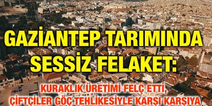 Gaziantep Tarımında Sessiz Felaket: Kuraklık Üretimi Felç Etti, Çiftçiler Göç Tehlikesiyle Karşı Karşıya