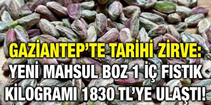 Gaziantep’te Tarihi Zirve: Yeni Mahsul Boz 1 İç Fıstık Kilogramı 1830 TL’ye Ulaştı!