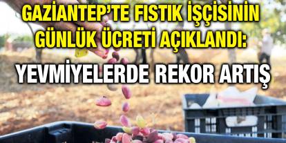 Gaziantep’te Fıstık İşçisinin Günlük Ücreti Açıklandı: Yevmiyelerde Rekor Artış