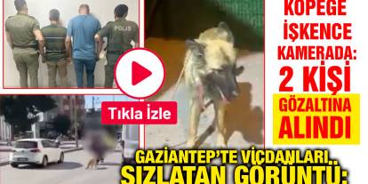 Gaziantep’te Vicdanları Sızlatan Görüntü: Köpeğe İşkence Kamerada: 2 Kişi Gözaltına Alındı
