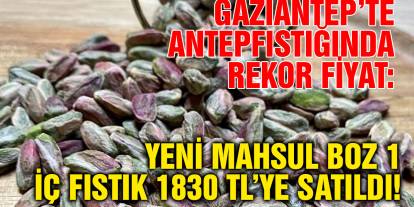 Gaziantep’te Antepfıstığında Rekor Fiyat: Yeni Mahsul Boz 1 İç Fıstık 1830 TL’ye Satıldı!