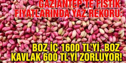Gaziantep’te Fıstık Fiyatlarında Yaz Rekoru: Boz İç 1600 TL’yi, Boz Kavlak 600 TL’yi Zorluyor!