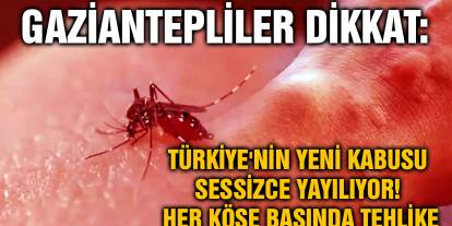 Gaziantepliler Dikkat: Türkiye'nin Yeni Kabusu Sessizce Yayılıyor! Her Köşe Başında Tehlike