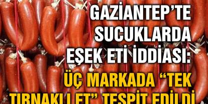 Gaziantep’te Sucuklarda Eşek Eti İddiası: Üç Markada “Tek Tırnaklı Et” Tespit Edildi