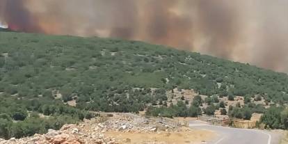 Gaziantep'te çıkan orman yangını kontrol altına alındı