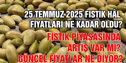 25 Temmuz 2025 Fıstık Hâl Fiyatları Ne Kadar Oldu?