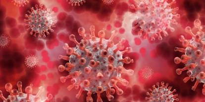 Yeni Salgın Kapıda: Türkiye’de Chikungunya Virüsü Riski! DSÖ’den Acil Önlem Çağrısı