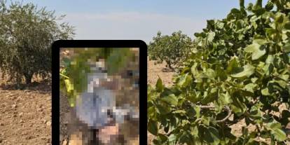 Gaziantep’te Fıstık Tarlasında Ölüm! 48 Yaşındaki İşçinin Kalbi Sıcak Havaya Yenik Düştü