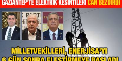 Gaziantep'te Elektrik Kesintileri Can Bezdirdi: Milletvekilleri, Enerjisa'yı 6 Gün Sonra Eleştirmeye Başladı